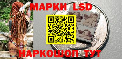 винт Донецк
